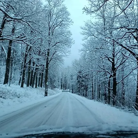 Snieznicki Domek Pokoje Z Prywatnymi Lazienkami Cisza I Gory Stara Moraw Gasthuis *