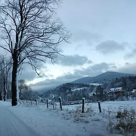 Gasthuis Snieznicki Domek Pokoje Z Prywatnymi Lazienkami Cisza I Gory Stara Moraw *