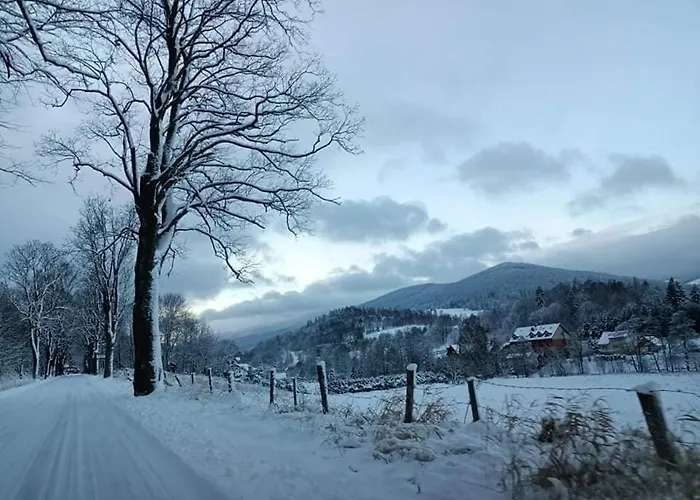 ゲストハウス Snieznicki Z Prywatnymi Lazienkami Cisza I Gory Stara Moraw *